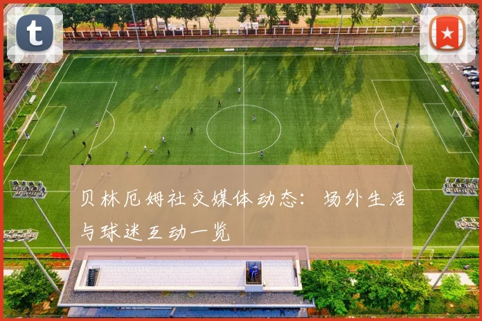贝林厄姆社交媒体动态:场外生活与球迷互动一览